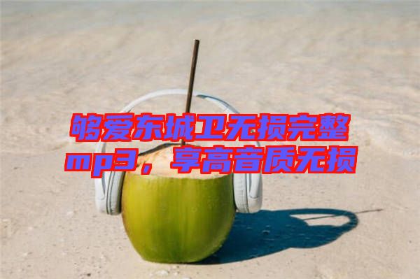夠愛東城衛(wèi)無損完整mp3，享高音質(zhì)無損