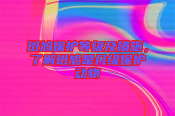 斑鳩保護(hù)等級及措施，了解斑鳩是幾級保護(hù)動(dòng)物