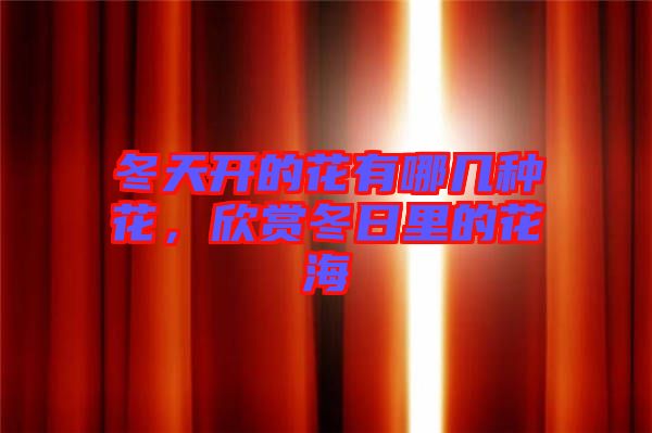 冬天開的花有哪幾種花，欣賞冬日里的花海
