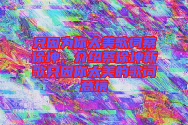 只因為你太美歌詞蔡徐坤，介紹蔡徐坤新歌只因你太美的歌詞意境