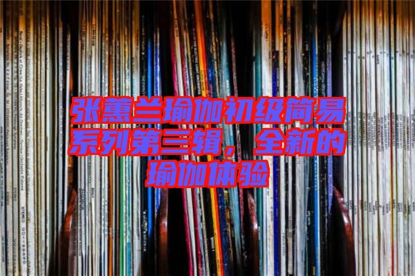 張蕙蘭瑜伽初級簡易系列第三輯，全新的瑜伽體驗