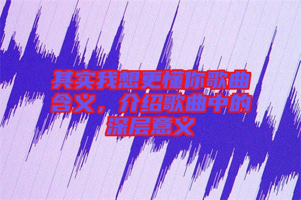 其實(shí)我想更懂你歌曲含義，介紹歌曲中的深層意義