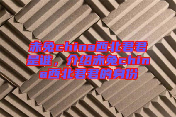 赤兔china西北君君是誰(shuí)，介紹赤兔china西北君君的身份