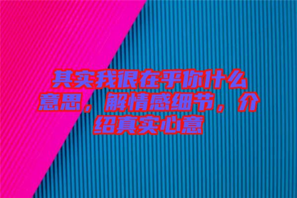 其實我很在乎你什么意思，解情感細節(jié)，介紹真實心意