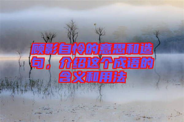 顧影自憐的意思和造句，介紹這個成語的含義和用法