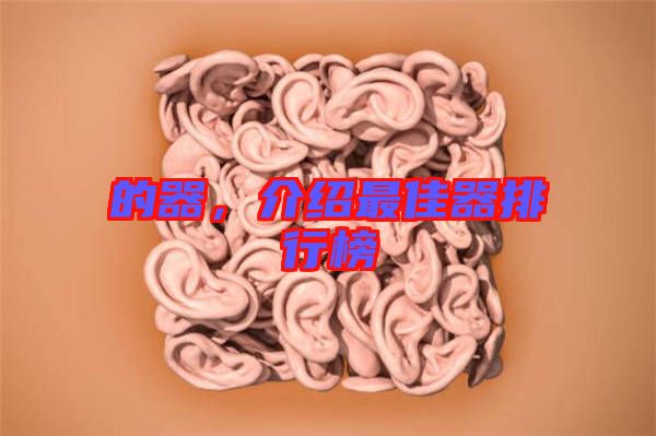 的器，介紹最佳器排行榜