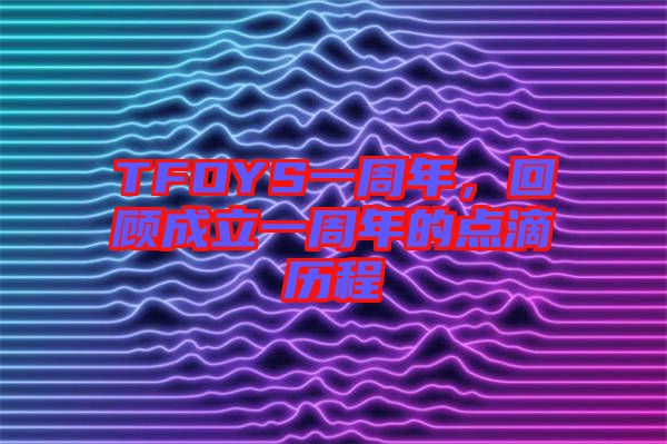 TFOYS一周年，回顧成立一周年的點(diǎn)滴歷程