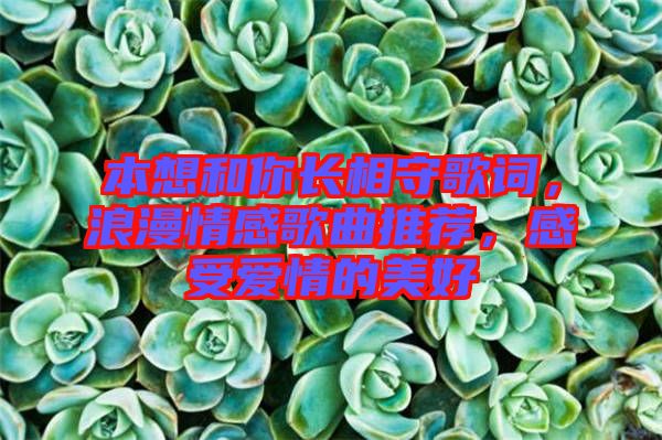 本想和你長相守歌詞，浪漫情感歌曲推薦，感受愛情的美好