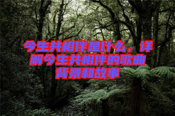 今生共相伴是什么，詳解今生共相伴的歌曲背景和故事