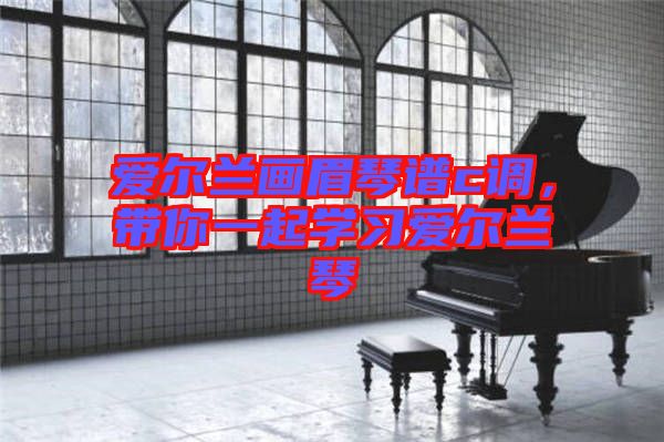 愛(ài)爾蘭畫(huà)眉琴譜c調(diào)，帶你一起學(xué)習(xí)愛(ài)爾蘭琴