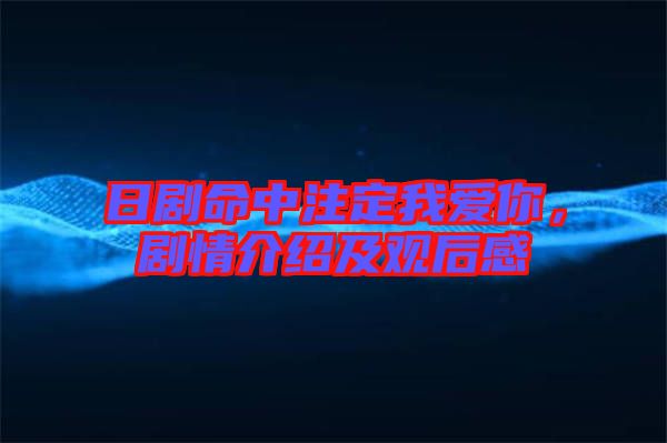 日劇命中注定我愛你，劇情介紹及觀后感