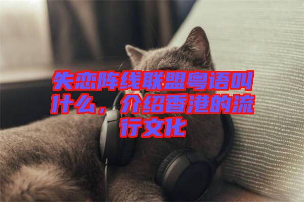 失戀陣線聯(lián)盟粵語叫什么，介紹香港的流行文化