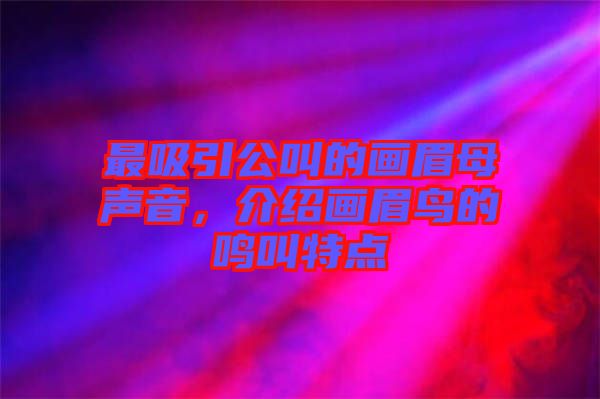 最吸引公叫的畫眉母聲音，介紹畫眉鳥的鳴叫特點