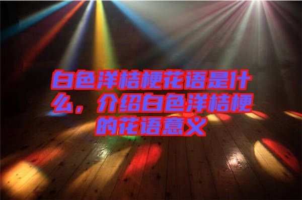 白色洋桔?；ㄕZ是什么，介紹白色洋桔梗的花語意義