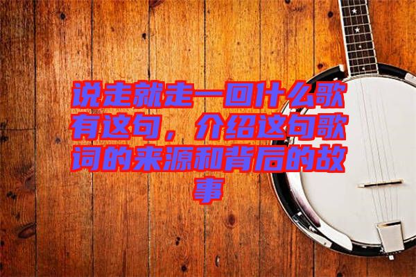 說走就走一回什么歌有這句，介紹這句歌詞的來源和背后的故事