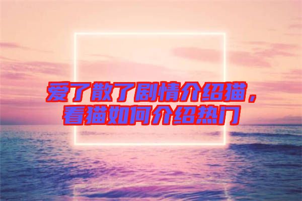 愛了散了劇情介紹貓，看貓如何介紹熱門