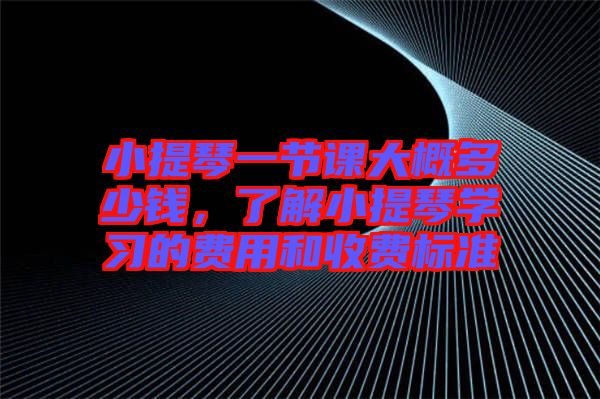 小提琴一節(jié)課大概多少錢，了解小提琴學(xué)習(xí)的費(fèi)用和收費(fèi)標(biāo)準(zhǔn)