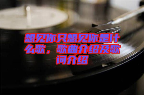 想見你只想見你是什么歌，歌曲介紹及歌詞介紹
