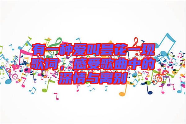 有一種愛叫曇花一現(xiàn)歌詞，感受歌曲中的深情與離別