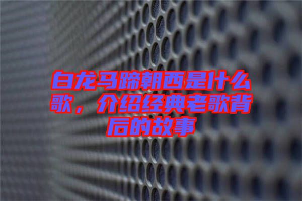 白龍馬蹄朝西是什么歌，介紹經(jīng)典老歌背后的故事