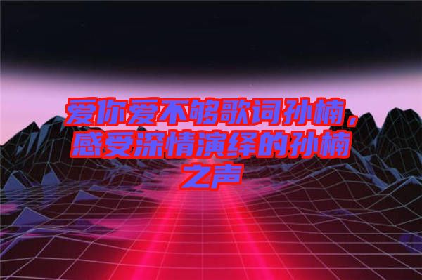 愛(ài)你愛(ài)不夠歌詞孫楠，感受深情演繹的孫楠之聲