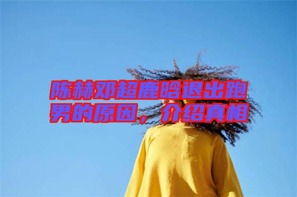 陳赫鄧超鹿晗退出跑男的原因，介紹真相