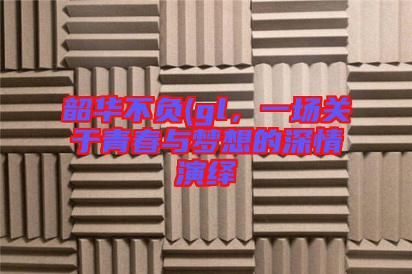 韶華不負(fù)(gl，一場關(guān)于青春與夢想的深情演繹
