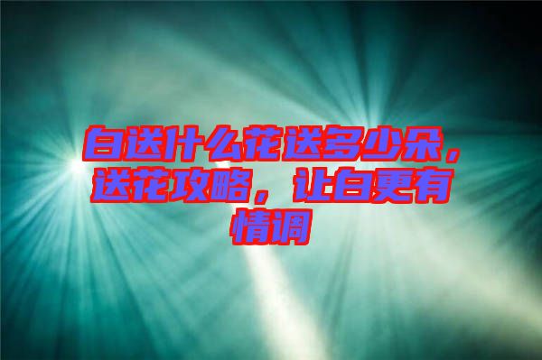 白送什么花送多少朵，送花攻略，讓白更有情調(diào)