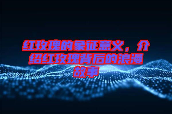 紅玫瑰的象征意義，介紹紅玫瑰背后的浪漫故事