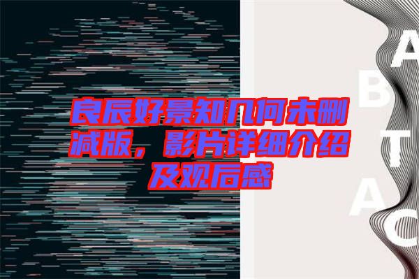 良辰好景知幾何未刪減版，影片詳細介紹及觀后感