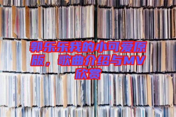 郭樂樂我的小可愛原版，歌曲介紹與MV欣賞