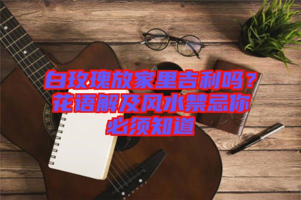 白玫瑰放家里吉利嗎？花語解及風水禁忌你必須知道