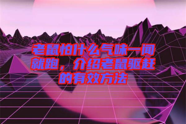 老鼠怕什么氣味一聞就跑，介紹老鼠驅(qū)趕的有效方法
