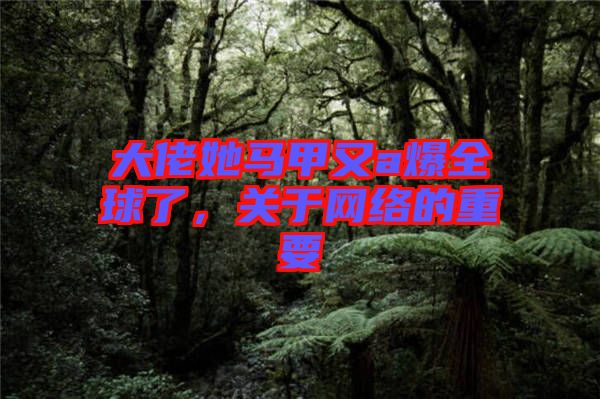 大佬她馬甲又a爆全球了，關(guān)于網(wǎng)絡(luò)的重要