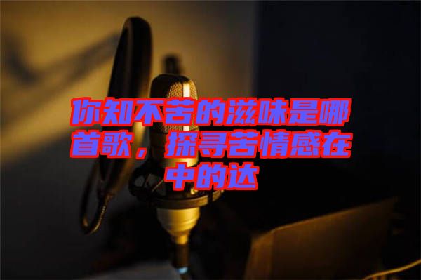 你知不苦的滋味是哪首歌，探尋苦情感在中的達(dá)
