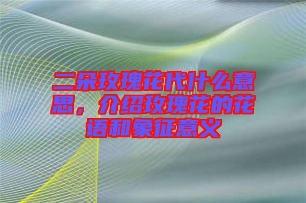 二朵玫瑰花代什么意思，介紹玫瑰花的花語和象征意義