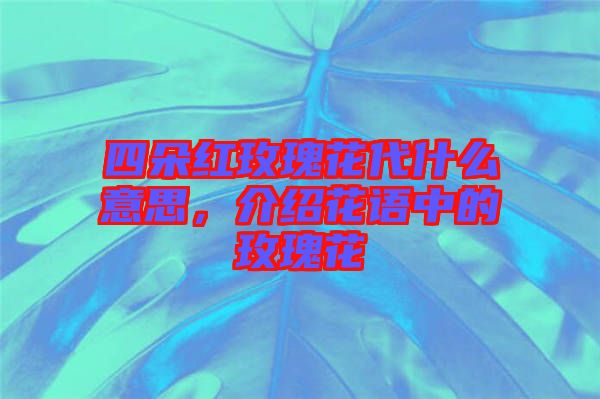 四朵紅玫瑰花代什么意思，介紹花語中的玫瑰花