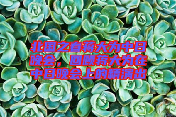 北國之春蔣大為中日晚會(huì)，回顧蔣大為在中日晚會(huì)上的精演出