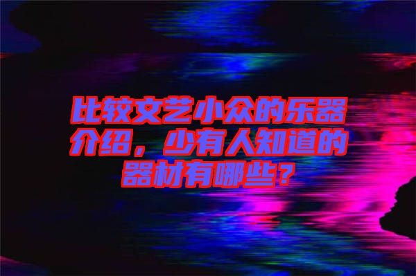 比較文藝小眾的樂器介紹，少有人知道的器材有哪些？