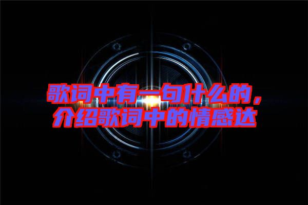 歌詞中有一句什么的，介紹歌詞中的情感達