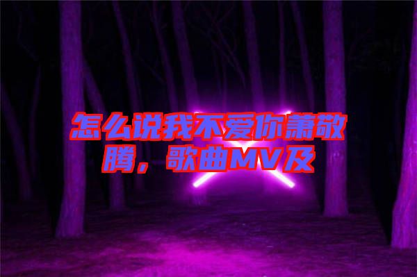 怎么說我不愛你蕭敬騰，歌曲MV及