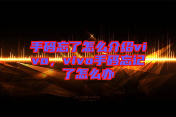 手碼忘了怎么介紹vivo，vivo手碼忘記了怎么辦