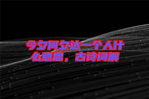 今夕何夕達(dá)一個人什么意思，古詩詞解