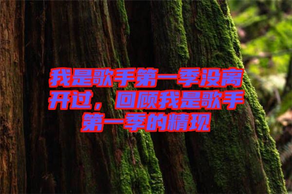 我是歌手第一季沒(méi)離開(kāi)過(guò)，回顧我是歌手第一季的精現(xiàn)