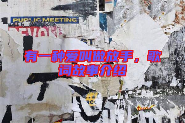 有一種愛叫做放手，歌詞故事介紹