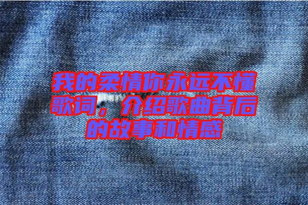 我的柔情你永遠(yuǎn)不懂歌詞，介紹歌曲背后的故事和情感