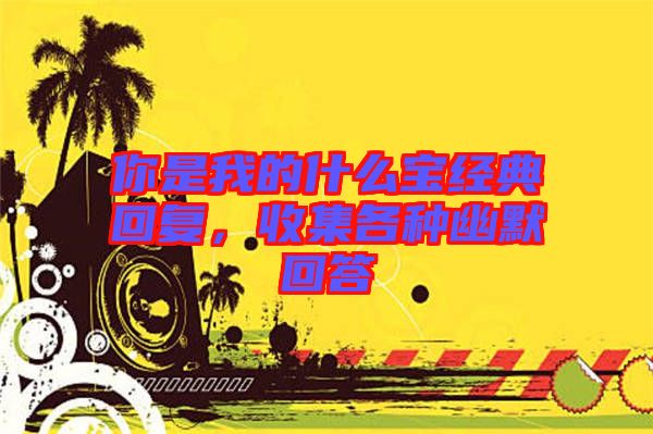 你是我的什么寶經典回復，收集各種幽默回答