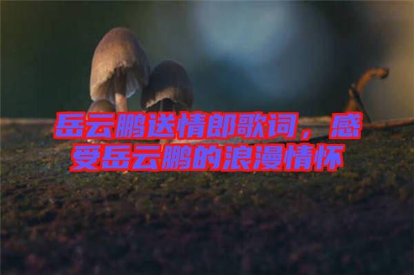 岳云鵬送情郎歌詞，感受岳云鵬的浪漫情懷