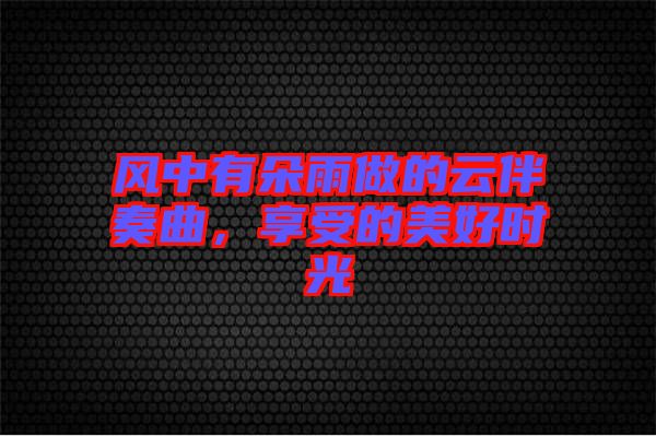 風(fēng)中有朵雨做的云伴奏曲，享受的美好時(shí)光