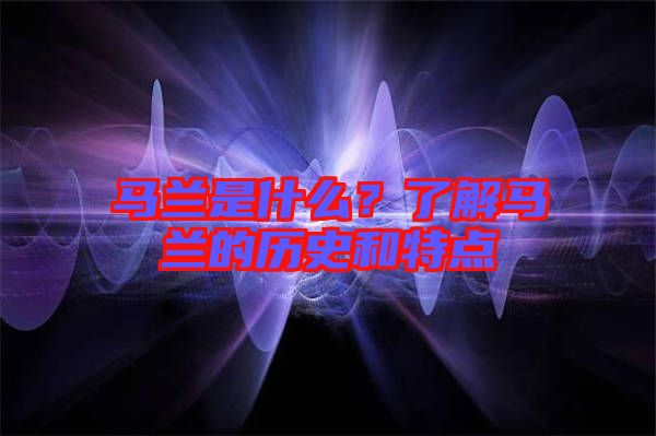 馬蘭是什么？了解馬蘭的歷史和特點
